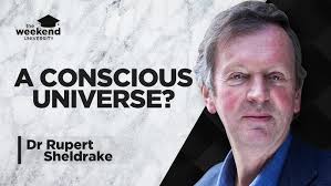 sheldrake sheldrake